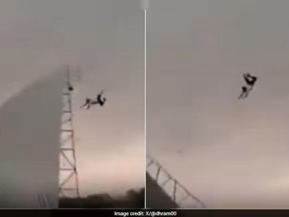 watch Bareilly Storm Lifts Man Along With Tin Shed, Viral Video Shocks Internet up police | भीषण तूफान और टिन की छत के साथ उड़ा नान्हे मियां?, वीडियो वायरल watch Bareilly Storm Lifts Man Along With Tin Shed, Viral Video Shocks Internet up police | भीषण तूफान और टिन की छत के साथ उड़ा नान्हे मियां?, वीडियो वायरल