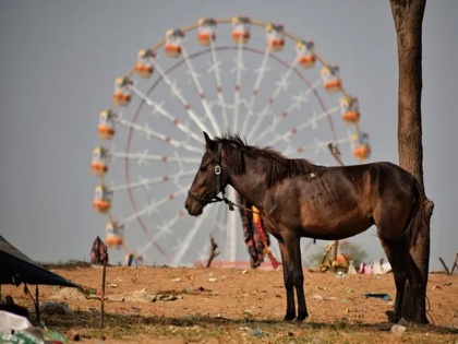 karnataka viral news Vijayapura Babulal Chavan buys horse to stay fit decrease pollution save fuel and environment | गज़ब! जिम और गाड़ियों पर होने वाले खर्चे से बचने के लिए एक कार चार बाइक वाले इस शख्स ने खरीदा घोड़ा; बोला- प्रदूषण भी नहीं, पर्यावरण भी साफ