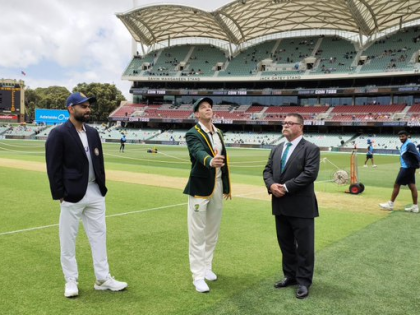 India vs Australia 1st Test virat kohli win loss record India win the toss elect to bat against Australia in Adelaide | IND VS AUS: टॉस जीतने के बाद कभी टेस्ट मैच नहीं हारे विराट कोहली, जानिए रिकॉर्ड