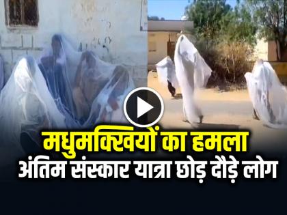 Bees Attack People going to Funeral in Jodhpur Video Goes Viral | अंतिम संस्कार करने जा रहे लोगों पर मधुमक्खियों का हमला, शव छोड़ दौड़ पड़े लोग, देखें वीडियो