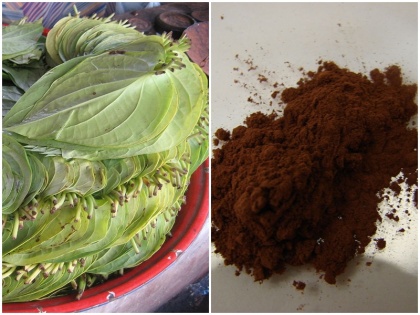Before today you would not have heard 5 such amazing benefits betel leaf kattha know how to make use it | पान के कत्थे के 5 अचूक फायदे, जानें बनाने और इस्तेमाल करने का तरीका