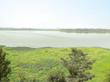 bengaluru-bbmp-report encroachment-lakes government structures | कर्नाटक: बेंगलुरु की 204 में से केवल 20 झीलें अतिक्रमण मुक्त, 28 झीलों पर सरकारी संरचनाओं का अतिक्रमण bengaluru-bbmp-report encroachment-lakes government structures | कर्नाटक: बेंगलुरु की 204 में से केवल 20 झीलें अतिक्रमण मुक्त, 28 झीलों पर सरकारी संरचनाओं का अतिक्रमण