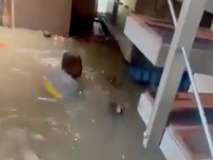 Bengaluru Floods Epsilon Man seen floating living room of his own house video goes viral | Bengaluru Floods: अपने ही घर के लिविंग रूम में तैरता हुआ नजर आया शख्स, वायरल हुआ वीडियो