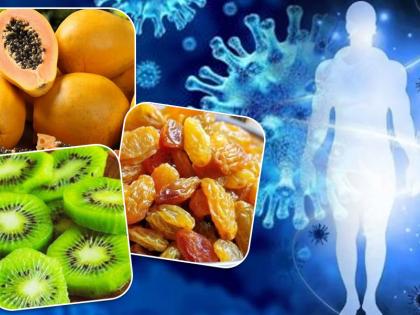 Immunity: शरीर को अंदर से मजबूत बनाती हैं ये 7 चीजें, आज ही डाइट में करें शामिल Immunity: शरीर को अंदर से मजबूत बनाती हैं ये 7 चीजें, आज ही डाइट में करें शामिल