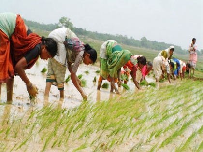 Bihar: 74 percent people depend on agriculture for livelihood, there is only 15 percent green belt in the state | बिहार: आजीविका के लिए 74 फीसदी लोग कृषि पर निर्भर, सूबे में महज 15 फीसदी है हरित पट्टी