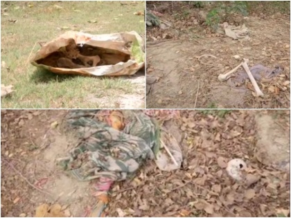 Bihar: Human skeletal remains found behind SKMC hospital Muzaffarpur, investigation underway | बिहारः मुजफ्फरपुर के जिस अस्पताल में बरपा चमकी बुखार का कहर, उसी कैम्पस में नर कंकाल मिलने से सनसनी!