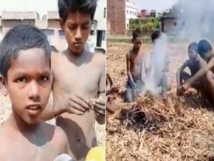 Bihar: Jehanabad DM orders probe after video viral of Kids ‘eat’ frog during lockdown | क्या बिहार के जहानाबाद में लॉकडाउन के दौरान मेंढक खा रहे हैं बच्चे, जानें वायरल वीडियो का सच?