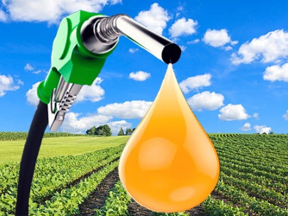 Oil marketing companies to procure biodiesel from used cooking oil | फेंकना बंद करें खाना बनाने के बाद बचा तेल, बॉयोडीजल बनाने में होगा इस्तेमाल, 100 शहरों में शुरुआत
