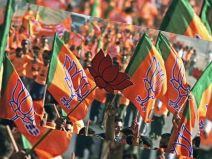 Lok Sabha Election 2019: A clash between BJP-RLD supporters during road show in Muzaffarnagar | लोकसभा चुनाव 2019: मुजफ्फरनगर में रोड शो के दौरान BJP-RLD समर्थकों के बीच झड़प