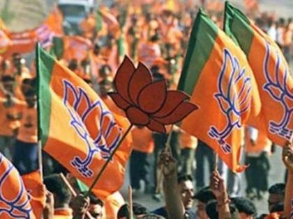 Assam panchayat polls 2025 BJP records wins BJP leading in 355 AP seats Congress 21 seats know 34 Zila Parishad members 311 AP members 2567 GP ward members | असम पंचायत चुनावः 355 एपी सीट पर आगे भाजपा, कांग्रेस खाते में 21, जानें अन्य दल का हाल Assam panchayat polls 2025 BJP records wins BJP leading in 355 AP seats Congress 21 seats know 34 Zila Parishad members 311 AP members 2567 GP ward members | असम पंचायत चुनावः 355 एपी सीट पर आगे भाजपा, कांग्रेस खाते में 21, जानें अन्य दल का हाल