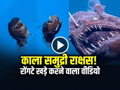 Black sea monster caught on camera! Watch viral video | VIDEO: कैमरे में कैद हुआ काला समुद्री राक्षस!, रोंगटे खड़े करने वाला वीडियो