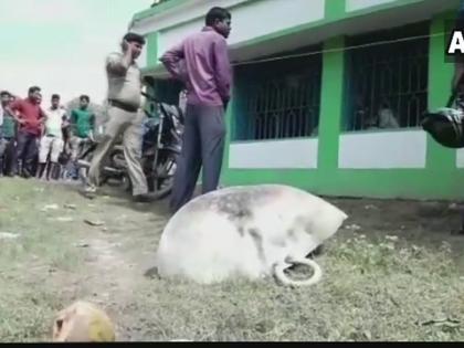 West Bengal: blast at TMC party office in Makarampur, 1 dead 5 injured | पश्चिम बंगालः मकरमपुर स्थित टीएमसी कार्यालय में विस्फोट, एक की मौत और 5 घायल West Bengal: blast at TMC party office in Makarampur, 1 dead 5 injured | पश्चिम बंगालः मकरमपुर स्थित टीएमसी कार्यालय में विस्फोट, एक की मौत और 5 घायल