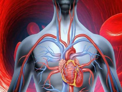 tips for healthy heart: eat these foods to keep your heart healthy, prevent heart attack, blood clot | खून में थक्के जमने से रोकने, हार्ट अटैक से बचने के लिए आज ही से खाना शुरू कर दें ये 5 चीजें