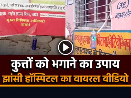 Blue Bottle installed in jhansi to drive away stray dogs video goes viral | आवारा कुत्तों को भगाने का उपाय देख हिल जाएगा आपका दिमाग, झांसी हॉस्पिटल का वायरल वीडियो