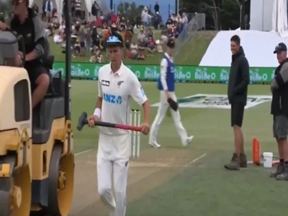 trent boult took the sledge hammer to flat the footmark video goes viral | NZ vs PAK : आखिर ऐसा क्या हुआ कि पिच पर हथौड़ा लेकर पहुंच गए ट्रेंट बोल्ट, वीडियो देख हर कोई रह गया हैरान