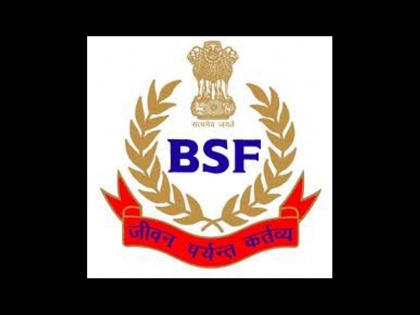 bsf alert on india and pakistan border on flying drone | भारत-पाक सीमा पर ड्रोन के खतरों से निपटने के लिए सुरक्षा बल कर रहा है तैयारी: BSF महानिदेशक वी. के. जौहरी