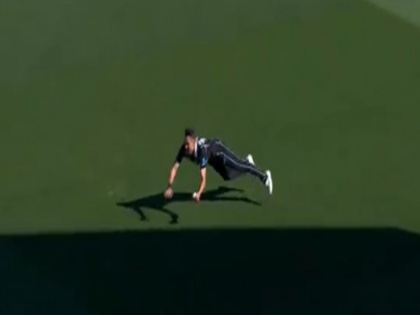 Trent Boult takes unbelievable catch and holds pose video goes viral | सुपरमैन की तरह हवा में उड़ा खिलाड़ी, लपका अविश्वसनीय कैच और बल्लेबाज को जाना पड़ा पवेलियन