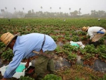 24 people who returned from Russia said: Worked as slaves, food was available only once a day | रूस से लौटे 24 लोगों ने कहा: गुलामों जैसा काम कराया गया, दिन में एक ही बार खाना मिलता था 24 people who returned from Russia said: Worked as slaves, food was available only once a day | रूस से लौटे 24 लोगों ने कहा: गुलामों जैसा काम कराया गया, दिन में एक ही बार खाना मिलता था