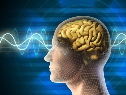 IISc study shows how brain region is involved in paying attention | ध्यान देने में दिमाग का यह खास हिस्सा है जिम्मेदार
