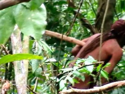 indigenous man lived alone in amazon forest for 22 years, video released | अमेजन के जंगलों में 22 साल से अकेले रह रहा अपनी जनजाति का आखिरी जीवित व्यक्ति, देखिए दुर्लभ वीडियो