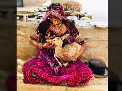 Bishnoi woman breastfeeds baby deer in Jodhpur Picture viral on social media | महिला ने हिरण के बच्चे को पिलाया अपना दूध, वायरल तस्वीर देख लोगों ने दी ऐसी प्रतिक्रिया Bishnoi woman breastfeeds baby deer in Jodhpur Picture viral on social media | महिला ने हिरण के बच्चे को पिलाया अपना दूध, वायरल तस्वीर देख लोगों ने दी ऐसी प्रतिक्रिया