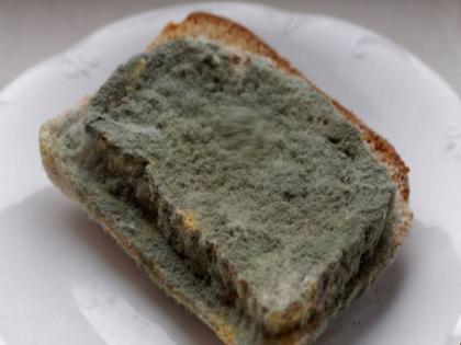 black fungus has easy access to home by breakfast bread, sign and symptoms and prevention tips of black fungus in Hindi | क्या काली हो चुकी ब्रेड के जरिये भी फैलता है ब्लैक फंगस ?, जानें इस घातक संक्रमण के 8 लक्षण और बचने के उपाय
