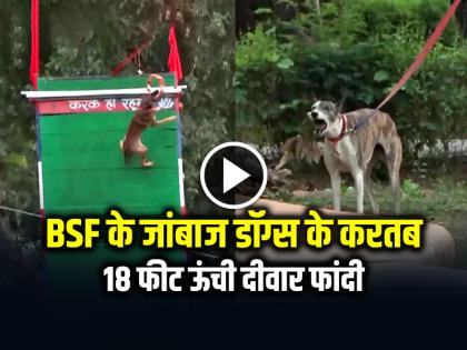 BSF Dogs Jumps 18 Foot Wall Video Goes Viral | BSF के जांबाज डॉग्स के करतब, 18 फीट ऊंची दीवार फांदी, देखें वीडियो