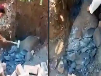 Buddha statue discovered in Pak, destroyed by construction workers | पाकिस्तान में खुदाई में मिली भगवान बुद्ध की 1700 साल पुरानी प्रतिमा, श्रमिकों के हथौड़ों से हुई क्षतिग्रस्त Buddha statue discovered in Pak, destroyed by construction workers | पाकिस्तान में खुदाई में मिली भगवान बुद्ध की 1700 साल पुरानी प्रतिमा, श्रमिकों के हथौड़ों से हुई क्षतिग्रस्त