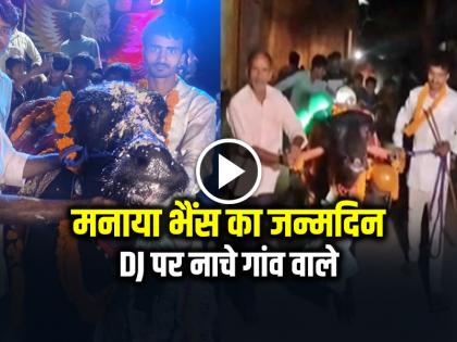 VIRAL: मनाया भैंस का जन्मदिन, DJ पर नाचे गांव वाले, देखें वायरल वीडियो