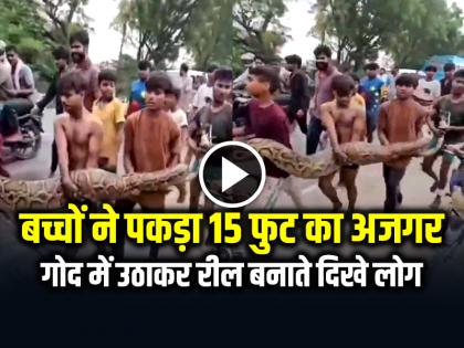 Bulandshahr Kids Caught 15 feet long Python and make reel shocking video goes viral | VIDEO: बच्चों ने पकड़ा 15 फुट का विशाल अजगर, गोद में उठाकर रील बनाते दिखे लोग, देखें वीडियो