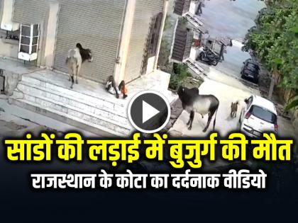 Bull Attack Elderly Man Dies Video Goes Viral | VIDEO: सांडों की लड़ाई में बुजुर्ग की मौत, वीडियो सोशल मीडिया पर वायरल