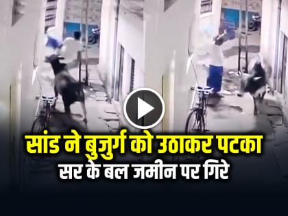 Bull Attack Old Man Elderly man fell on the ground on his head and got seriously injured | VIDEO: सांड ने बुजुर्ग को उठाकर पटका, सर के बल जमीन पर गिरे, देखें वायरल वीडियो