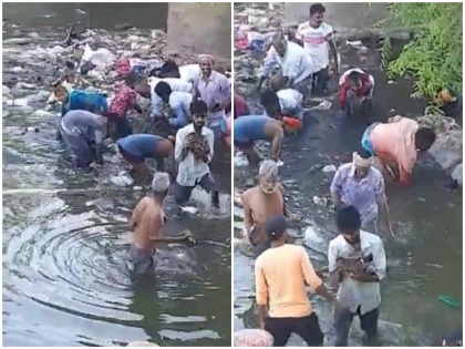 Bundles of 100 and 10 notes found flowing in the Bihar sasaram canal people started looting watch video | बिहार: 100 और 10 रुपये के नोटों के बंडल बहते मिले नहर में, लोगों में लगी लूटने की होड़, देखें वीडियो