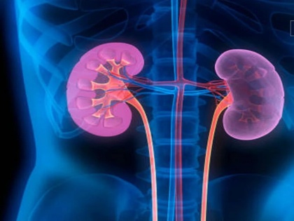 tips how to fit your kidney avoid these things from your daily life to get healthy kidney | एक हेल्थी किडनी के लिए जानी दुश्मन हैं ये 5 चीजें, स्वस्थ रहने के लिए आज ही इनसे बना लें दूरी