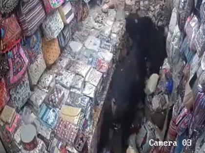 VIDEO: Two bulls entered a shop while fighting, crushed the girls, video of the horrifying scene went viral | VIDEO: लड़ते-लड़ते दुकान में घुसे दो सांड, युवतियों को कुचला, खौफनाक मंजर का वीडियो वायरल VIDEO: Two bulls entered a shop while fighting, crushed the girls, video of the horrifying scene went viral | VIDEO: लड़ते-लड़ते दुकान में घुसे दो सांड, युवतियों को कुचला, खौफनाक मंजर का वीडियो वायरल