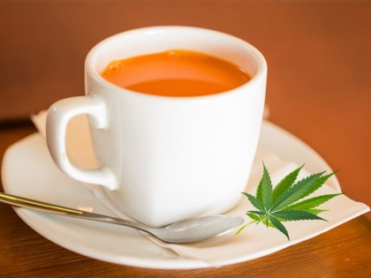 Marijuana Tea health benefits for cancer, aids, anxiety, rheumatoid arthritis, chronic pain, Nausea, irritable bowel syndrome, multiple sclerosis | गठिया, माइग्रेन, मतली, दर्द खत्म कर सकती है भांग की चाय, एड्स-कैंसर के मरीजों को मिलेगा ज्यादा फायदा