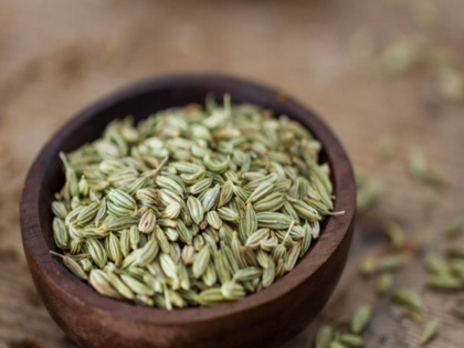 Health Benefits Of Fennel Seeds Saunf khane ke fayde Saunf ke pani Helps to regulate blood pressure | Health Benefits Of Fennel Seeds: सौंफ के अविश्वसनीय स्वास्थ्य लाभ आपको चौंका देंगे, पोषक तत्वों का भंडार है, जानिए अनगिनत फायदे