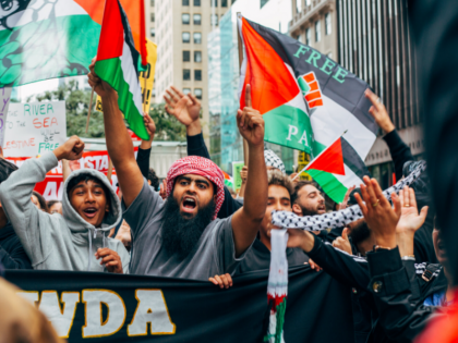 Video Anti-Israel protesters burn American flag in New York try to enter Met Gala | Video: न्यूयॉर्क में इजरायल विरोधी प्रदर्शनकारियों ने अमेरिकी ध्वज जलाया, मेट गाला समारोह में घुसने की कोशिश की,युद्ध स्मारक में तोड़फोड़ की