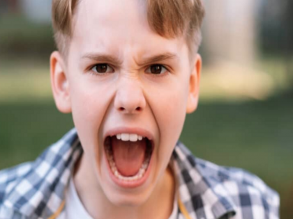 Lalit Garg's blog Increasing violent tendencies among children is worrying | ललित गर्ग का ब्लॉग: बच्चों में बढ़ती हिंसक प्रवृत्ति चिंताजनक