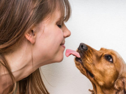 Viral Video Does your pet dog lick you? Bacteria are found in dog's saliva | वायरल वीडियो: क्या आपका पालतू कुत्ता आपको चाटता है? कुत्ते की लार में पाए जाते हैं बैक्टीरिया, देखिए