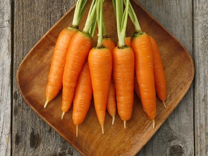 International Carrot Day 2024 Carrot is a precious treasure of health on earth | ब्लॉग: धरती पर सेहत का अनमोल खजाना है गाजर