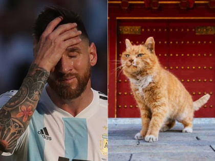 FIFA World Cup 2018: cat dies after predicting Six winners correctly | फीफा वर्ल्ड कप मैचों की भविष्यवाणी करने वाली बिल्ली की मौत, की थी छह मैचों की सटीक भविष्यवाणी
