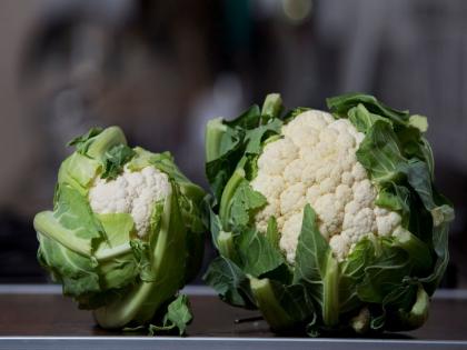 Healthy diet tips : Side effects of cauliflower for diabetes, BP and skin disease patients in hindi | सावधान! ऐसे लोग गलती से भी न खायें गोभी, धीरे-धीरे घेर लेंगे किडनी की पथरी, बीपी जैसे 10 रोग Healthy diet tips : Side effects of cauliflower for diabetes, BP and skin disease patients in hindi | सावधान! ऐसे लोग गलती से भी न खायें गोभी, धीरे-धीरे घेर लेंगे किडनी की पथरी, बीपी जैसे 10 रोग