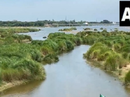 Cauvery water dispute should end now | ब्लॉग: अब खत्म होना चाहिए कावेरी जल विवाद