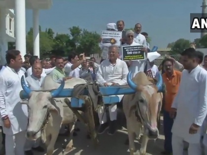 Raipur: Protesting against the hike in fuel prices, Chhattisgarh Congress leaders reached the state Assembly on a bullock cart | छत्तीसगढ़ः बैलगाड़ी से विधानसभा पहुंचे विपक्ष के नेता समेत कांग्रेसी विधायक, बुलाया गया है विशेष सत्र