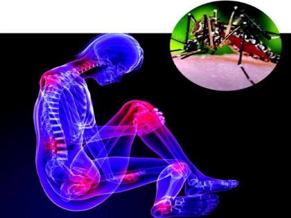 Delhi Records 2406 Dengue Cases, home remedies for dengue dengue fever prevention mosquito | दिल्ली में डेंगू के मामले 2 हजार के पार, डेंगू मरीजों के लिए दवाओं से ज्यादा असरदार हैं ये 10 चीजें