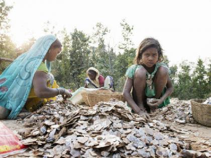 Child labor and bonded labor still a big challenge | ब्लॉग: बाल श्रम और बंधुआ मजदूरी अभी भी बड़ी चुनौती