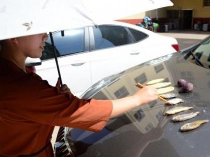 china a woman in china in a heat of 40 degrees celsius cooked fish on the bonnet of the car | चीन: गर्मी का जबरदस्त कहर, महिला ने कार की बोनट पर पकाईं मछली