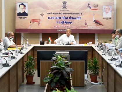 Rajasthan jaipur CM Ashok Gehlot Conservation forests wildlife priority state government Godavan, Khamor, Siyosh and vulture save | वनों और वन्यजीवों का संरक्षण राज्य सरकार की प्राथमिकता, सीएम गहलोत बोले-गोडावण, खरमोर, सियागोश एवं गिद्ध को बचाना है