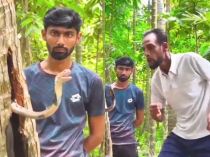 cobra caught in coconut tree watch daredevil rescue operation | Watch Video: कोबरा को बचाने के लिए शख्स ने लगाई जान की बाजी